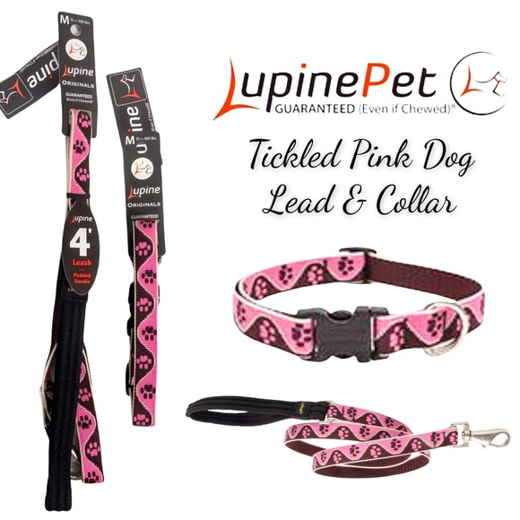 NWT Lupine Pet Dog Collar & Lead - Tickled Pink - Picture 1 of 16